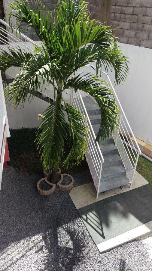 Residence Cattanies ساينت آن المظهر الخارجي الصورة